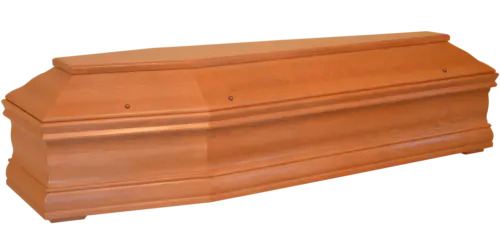 f82-500x250.png